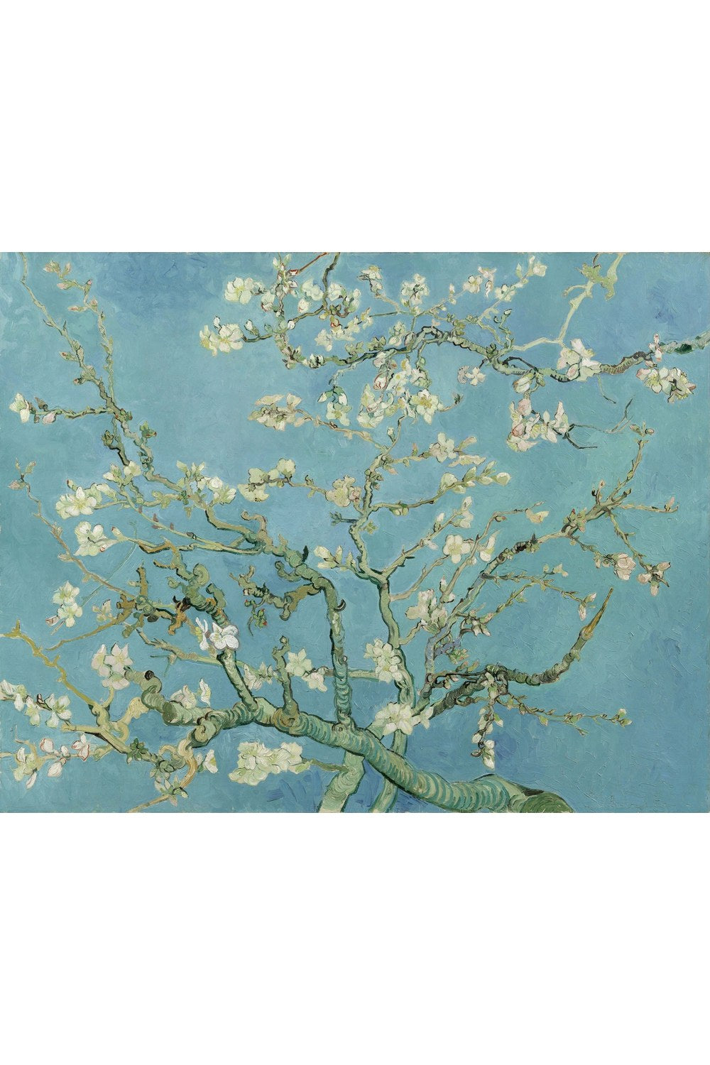 Vincent Van Gogh - Badem Çiçeği - 1