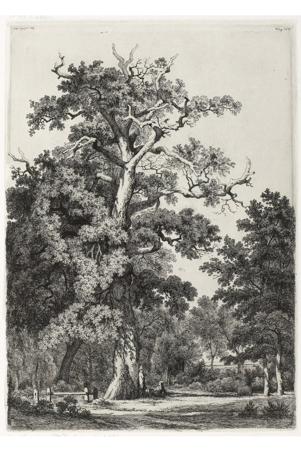 Eugène Bléry - Bois De Boulogne’Da Yaşlı Meşe - 1
