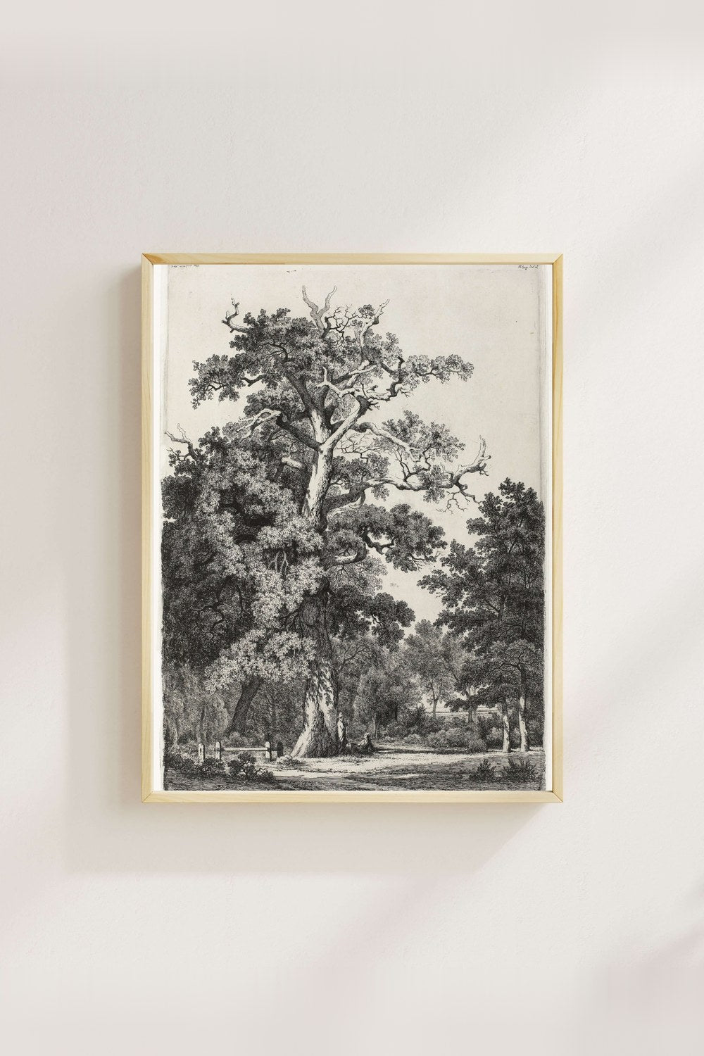 Eugène Bléry - Bois De Boulogne’Da Yaşlı Meşe - 3
