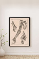Jacob Van Der Schley - Kol El Ve Omuz Anatomisi - 0