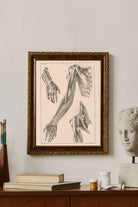 Jacob Van Der Schley - Kol El Ve Omuz Anatomisi - 2