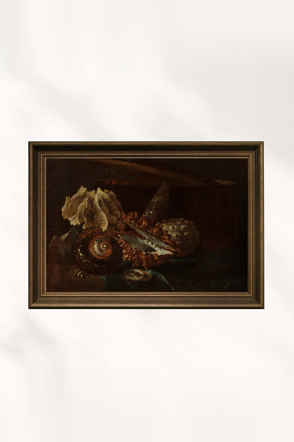 Willem Kalf - Deniz Kabukları Ve Mercan Ile Natürmort - 0