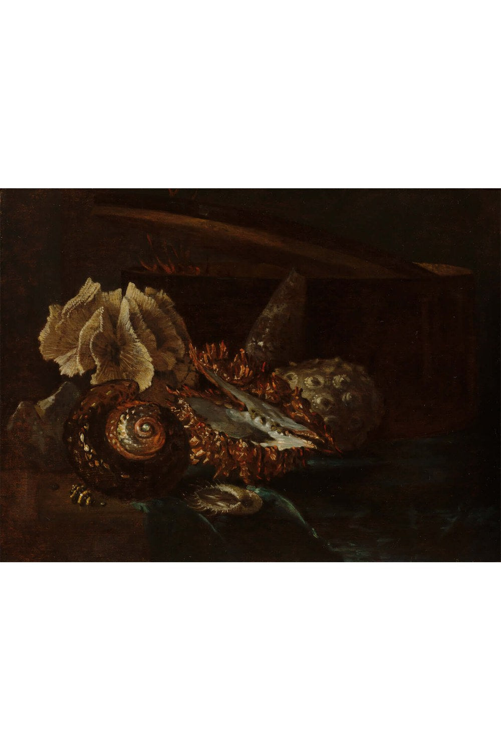 Willem Kalf - Deniz Kabukları Ve Mercan Ile Natürmort - 1