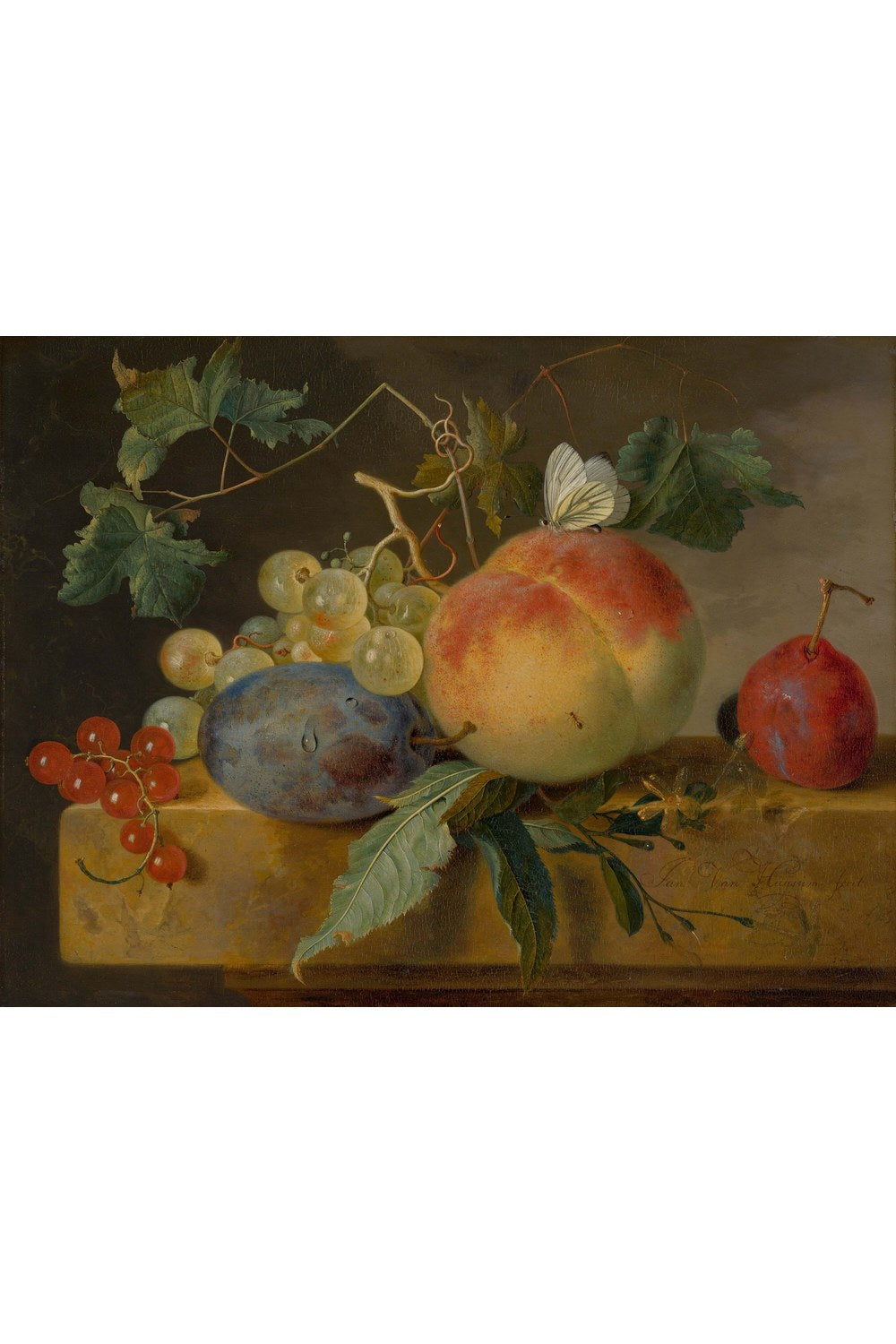 Jan Van Huysum - Meyve Natürmortu - 1