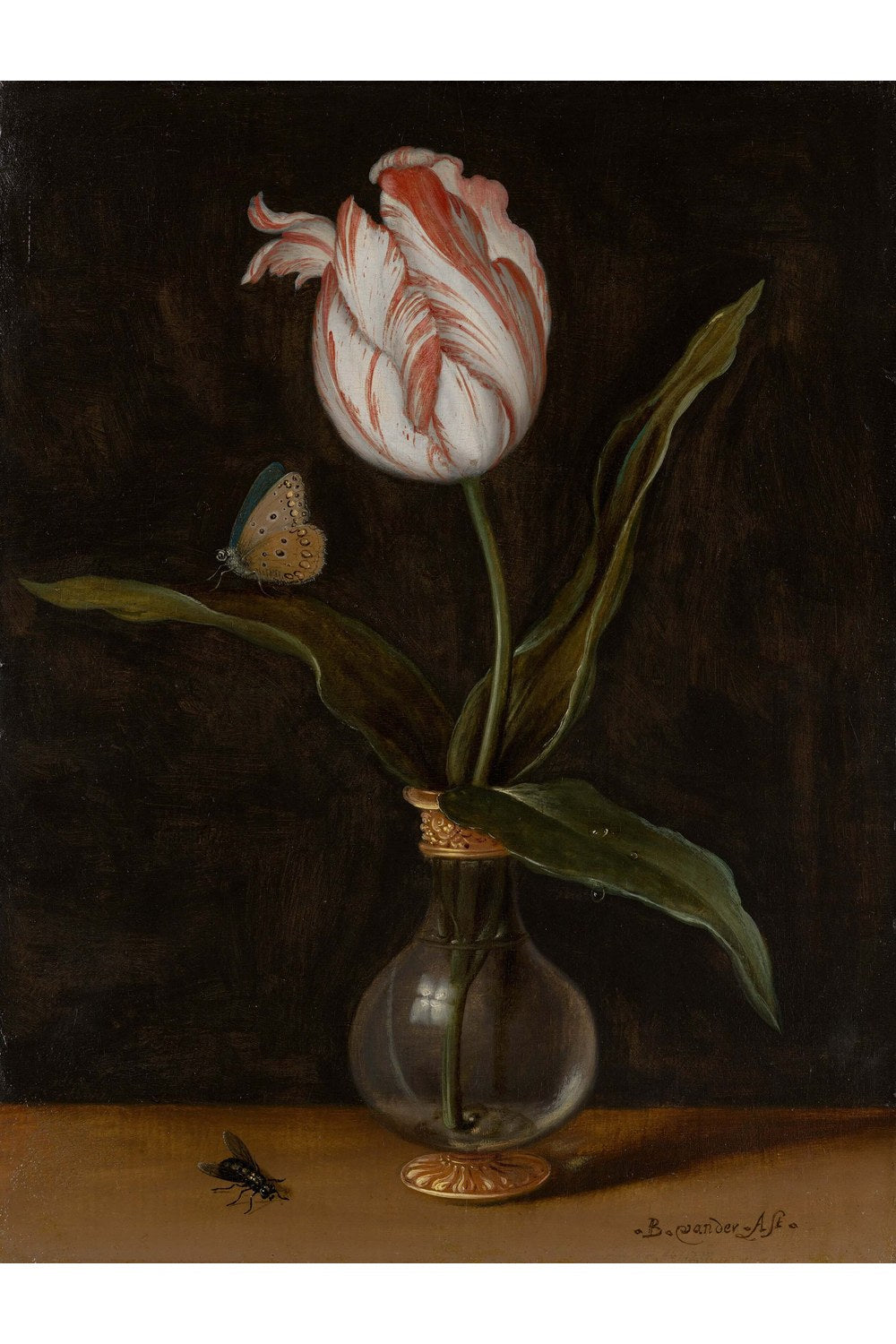 Balthasar Van Der Ast - Vazoda Tek Bir Lale - 1