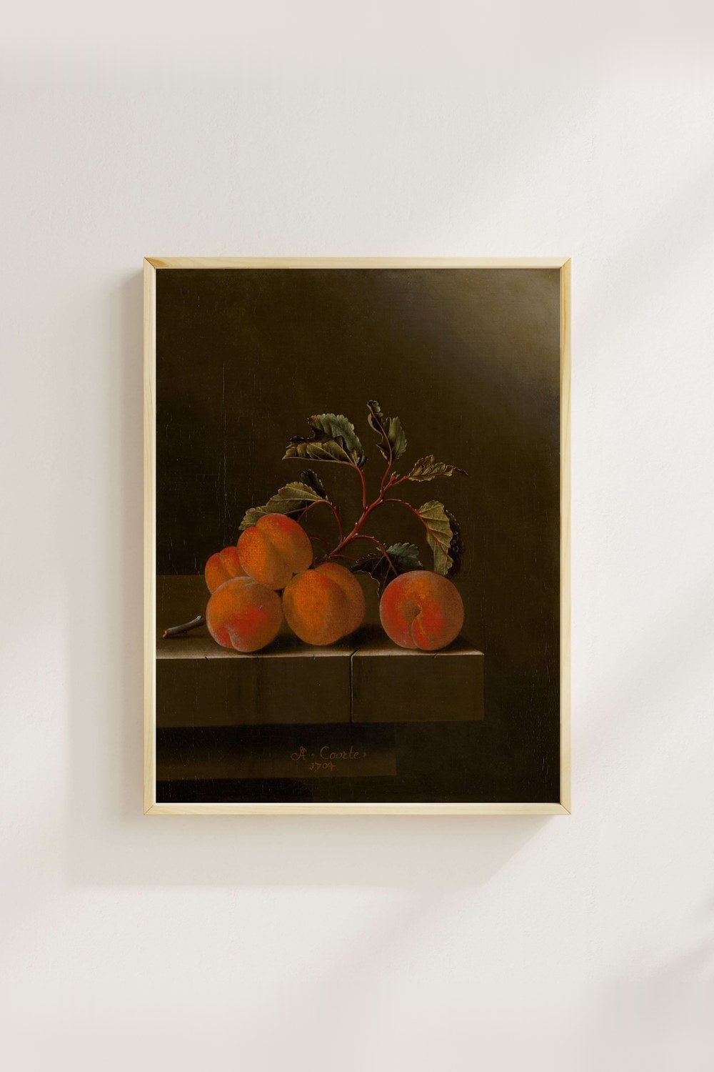 Adriaen Coorte - Beş Kayısılı Natürmort - 3