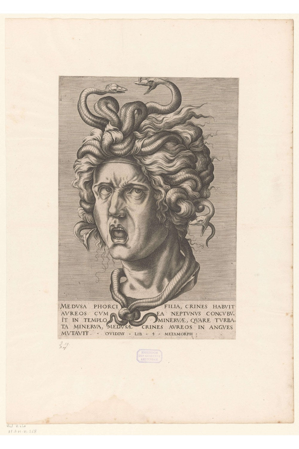 Anonim - Medusa - 1