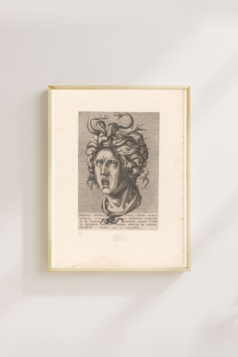 Anonim - Medusa - 3