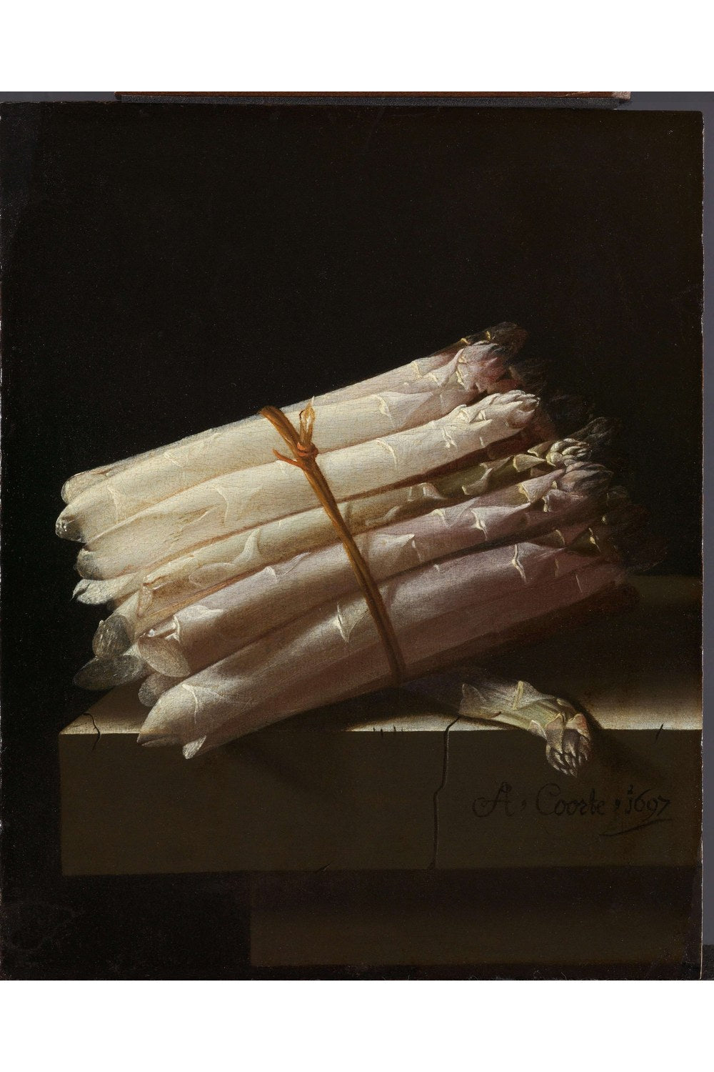 Adriaen Coorte - Kuşkonmazlarla Natürmort - 1