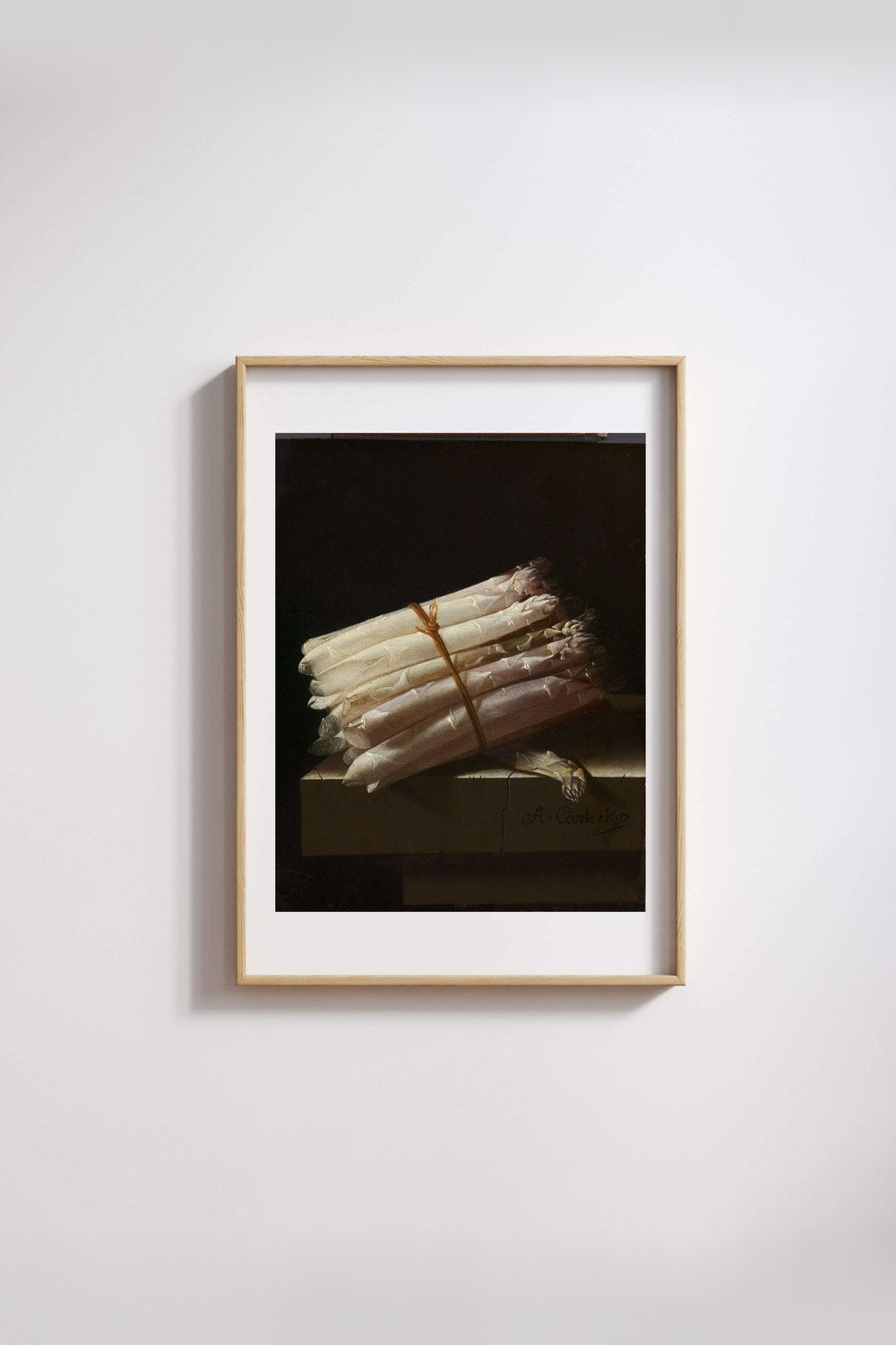 Adriaen Coorte - Kuşkonmazlarla Natürmort - 3