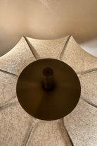 Daisy Lambader - 3