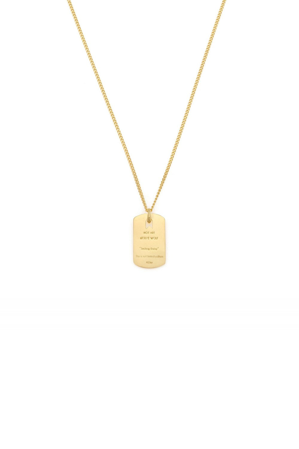 Plaka Detaylı Gurmet Zincir Kolye, Gold - 1