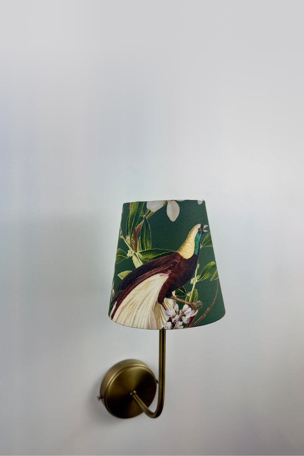 Clara Aplik Peacock - 0