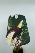Clara Aplik Peacock - 1
