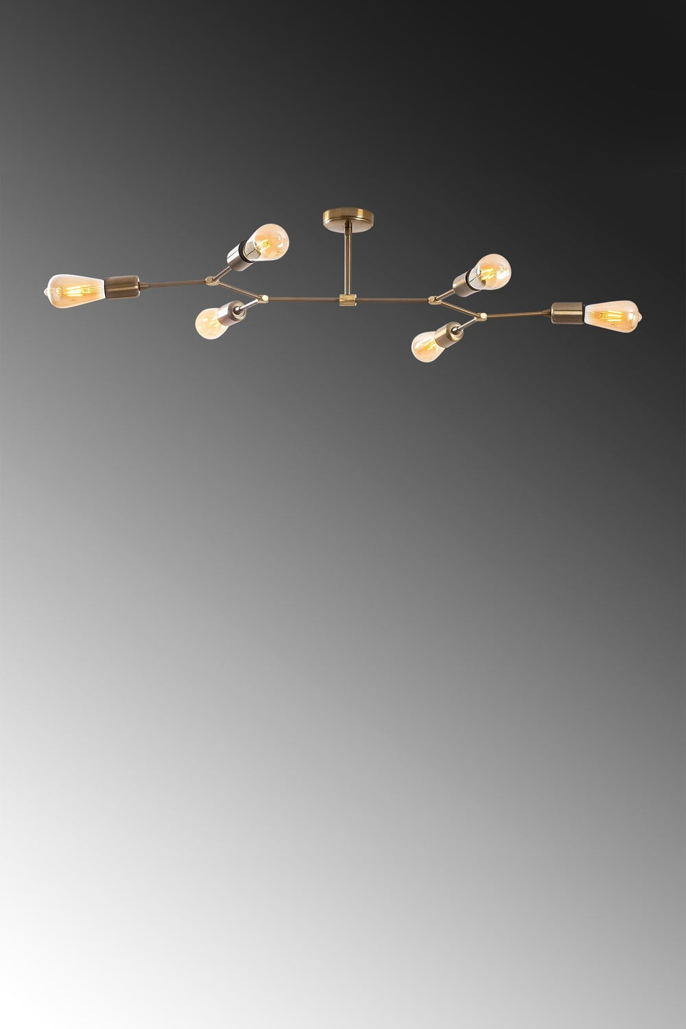Breezara 1241 Rustik Plafonyer Aydınlatma - 1
