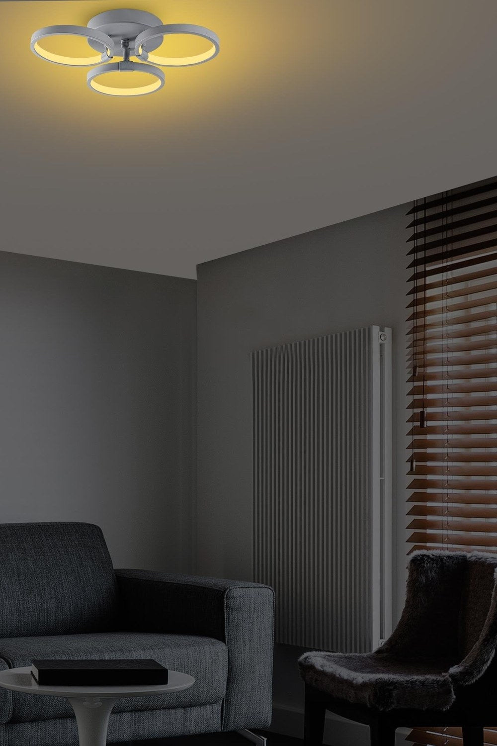 Irisara 13313 Led Plafonyer Aydınlatma - 2