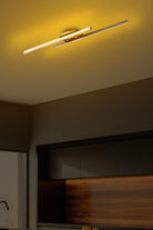 Cheetah 13297 Led Plafonyer Aydınlatma - 1