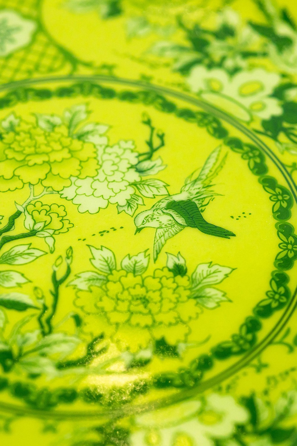 Eternal Olive Jardin Pasta Tabak (2'li Set) - 1