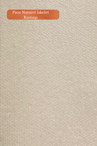Pion Sandalye - 6