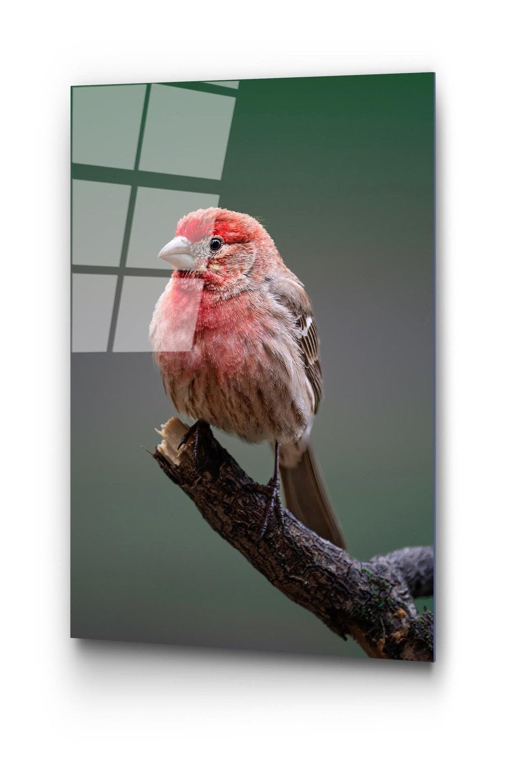 Uv-300 Baskılı Cam Dikdörtgen Duvar Tablosu - 4