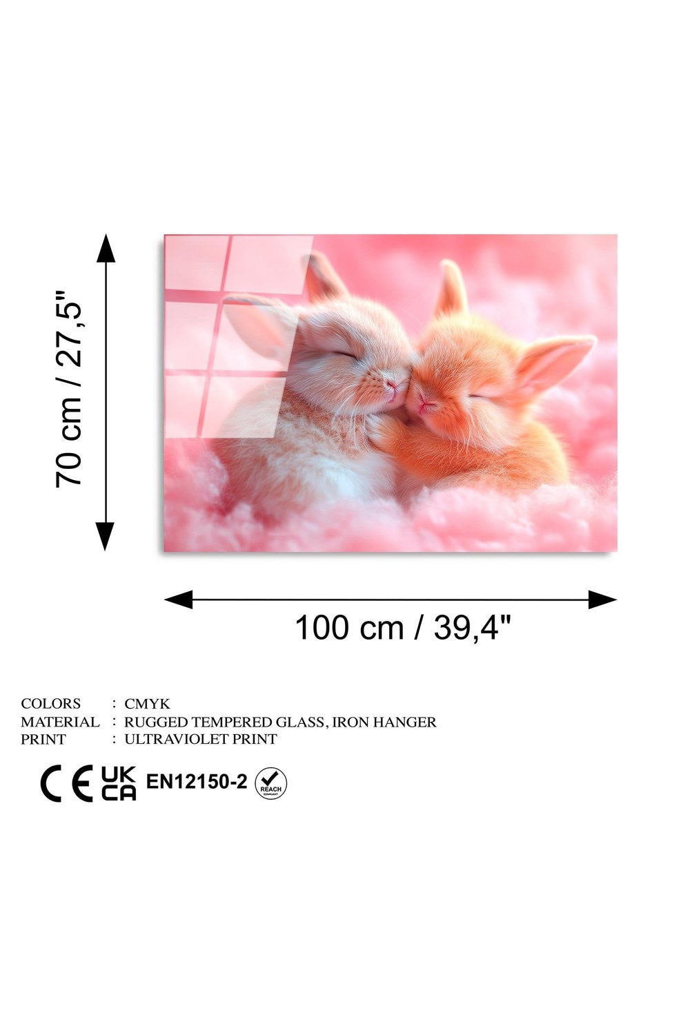 Uv-1176 Baskılı Cam Dikdörtgen Duvar Tablosu - 7
