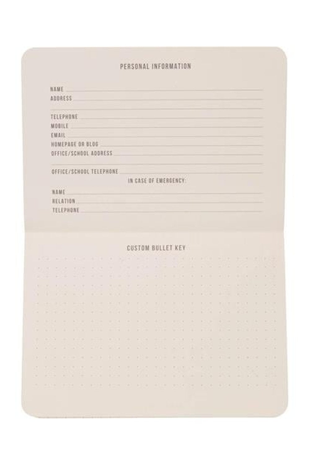Standart Issue Rosewood Blush Cep Defteri – Çizgili Not Defteri - 2