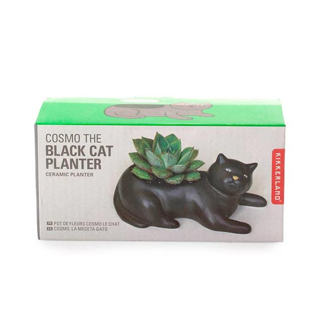 Kikkerland Cosmo The Black Cat Planter Vazo