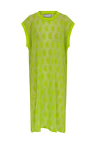 Alana Mesh Dress