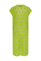 Alana Mesh Dress