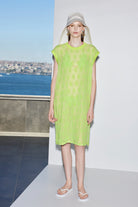 Alana Mesh Dress