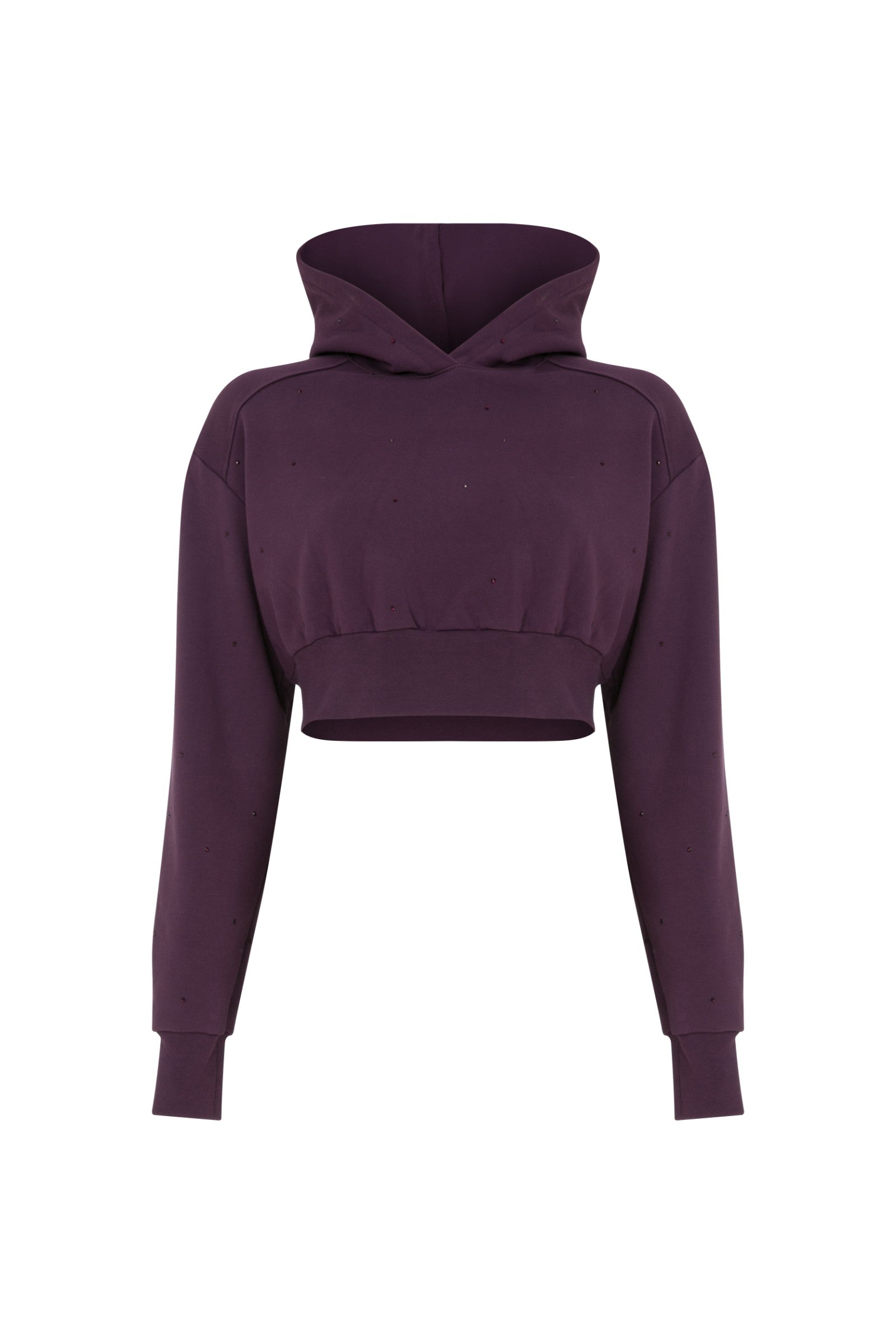 Ace Nayman-Felix Rhinestone Cropped Hoodie-Sweatshirts & Hoodies-2-Milagron.com