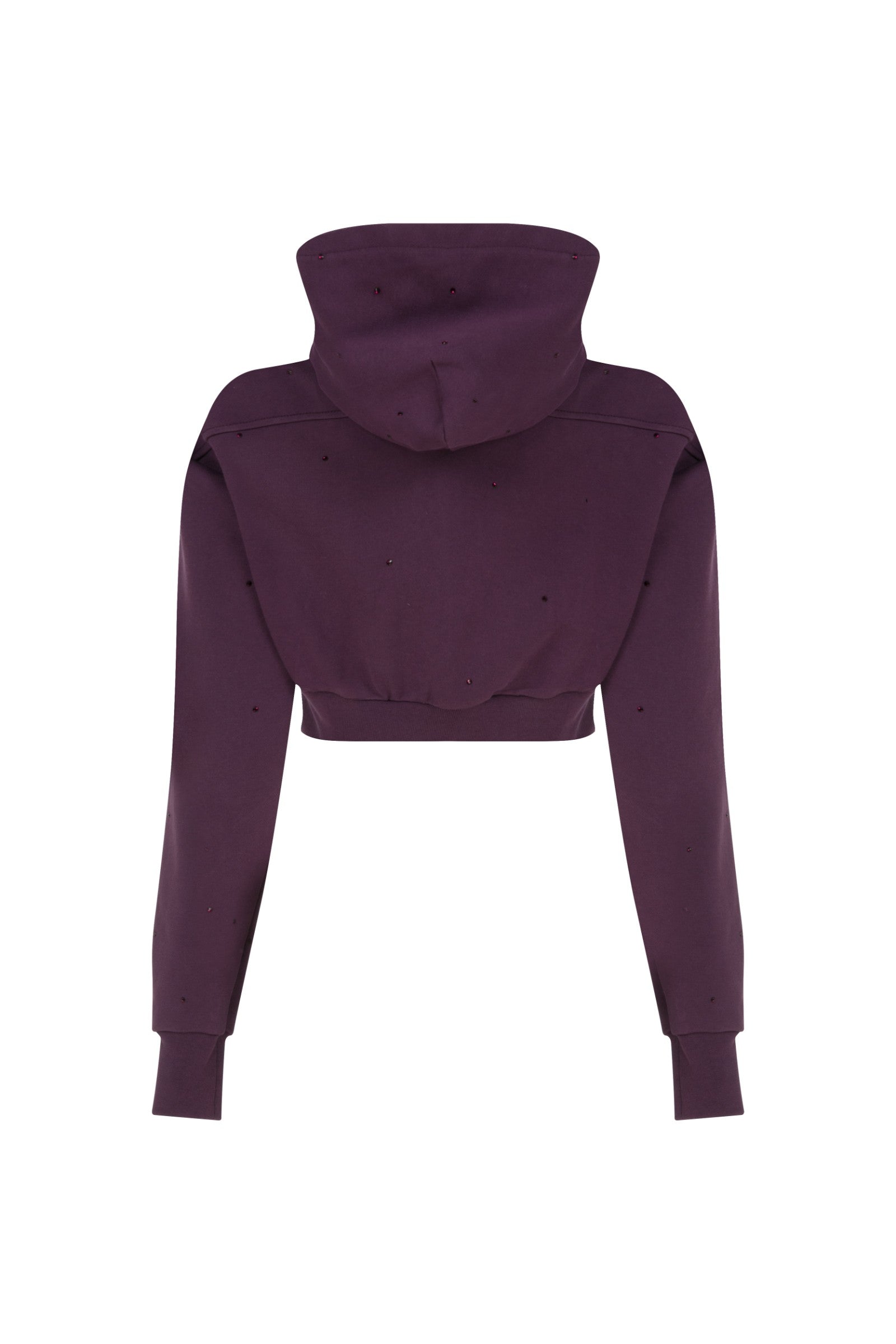 Ace Nayman-Felix Rhinestone Cropped Hoodie-Sweatshirts & Hoodies-3-Milagron.com