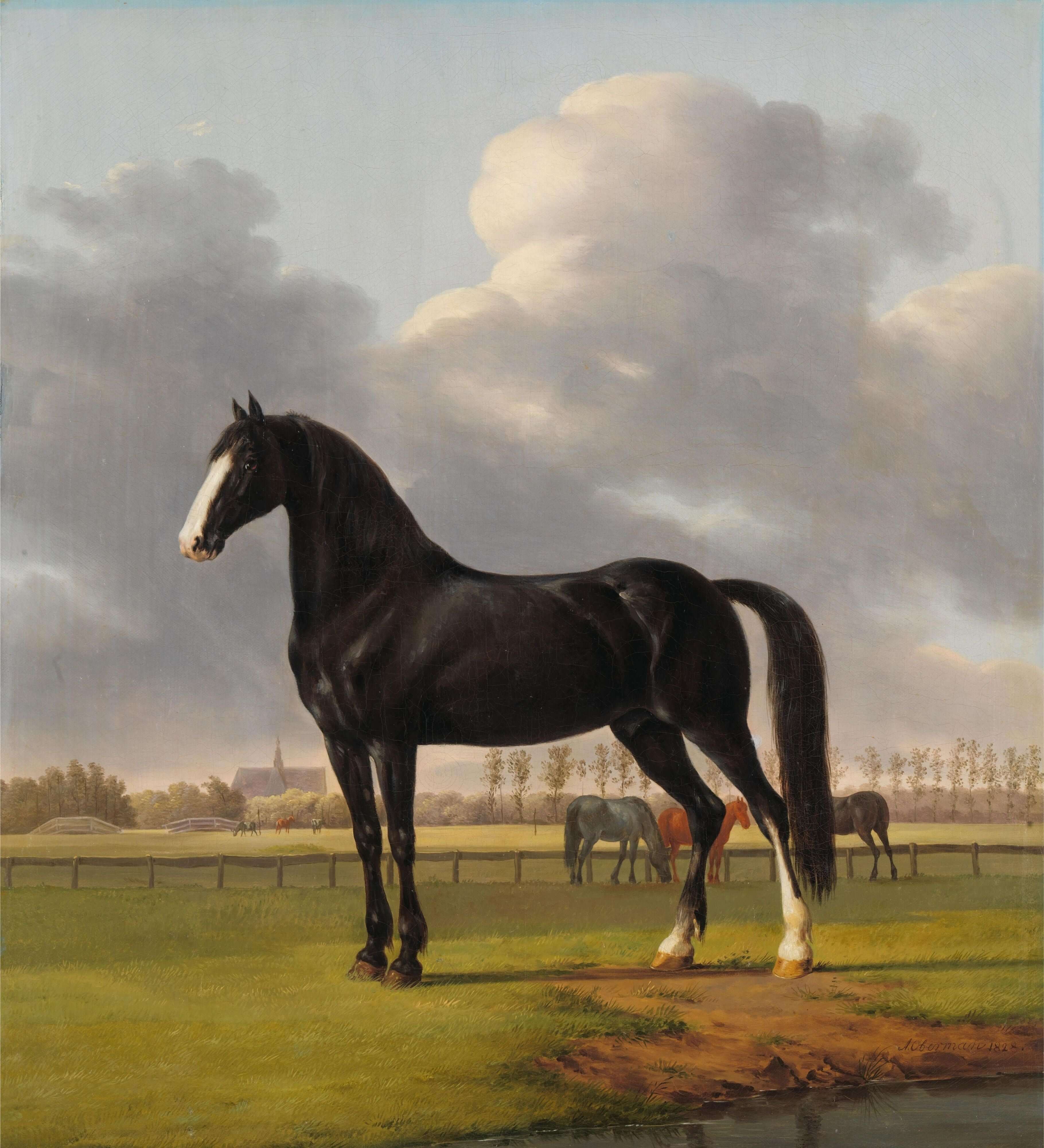 Anthony Oberman - Adriaan Van Der Hoop’Un Koşu Atı De Vlugge Merada