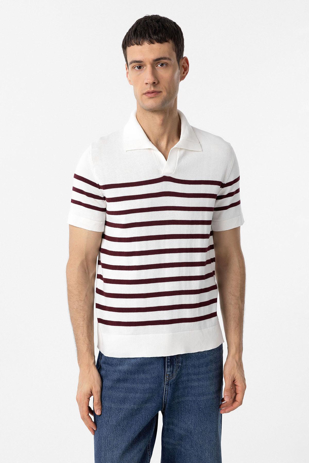 Antioch-Bordo Ekru Polo Yaka Çizgili Erkek Triko T Shirt-T-Shirts-1-Milagron.com