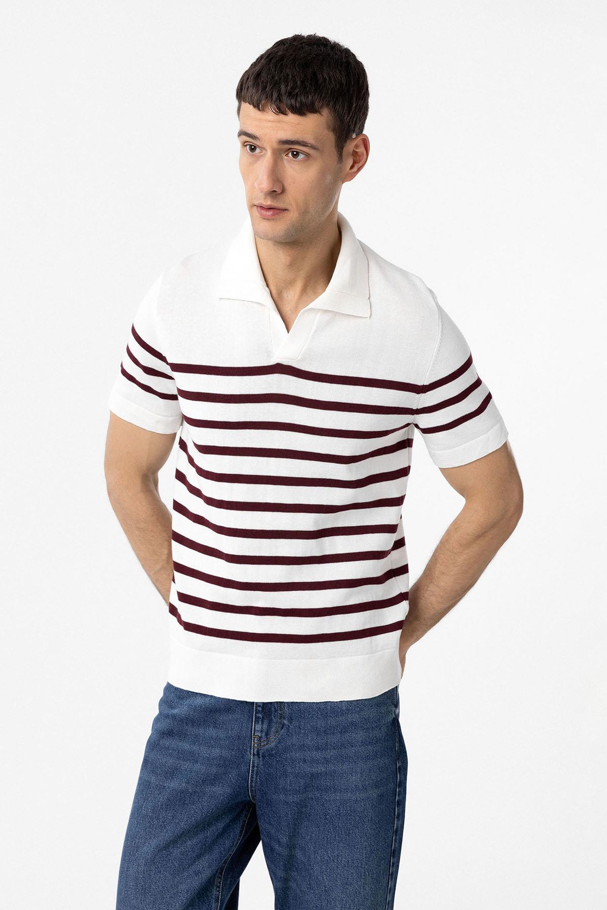 Antioch-Bordo Ekru Polo Yaka Çizgili Erkek Triko T Shirt-T-Shirts-3-Milagron.com