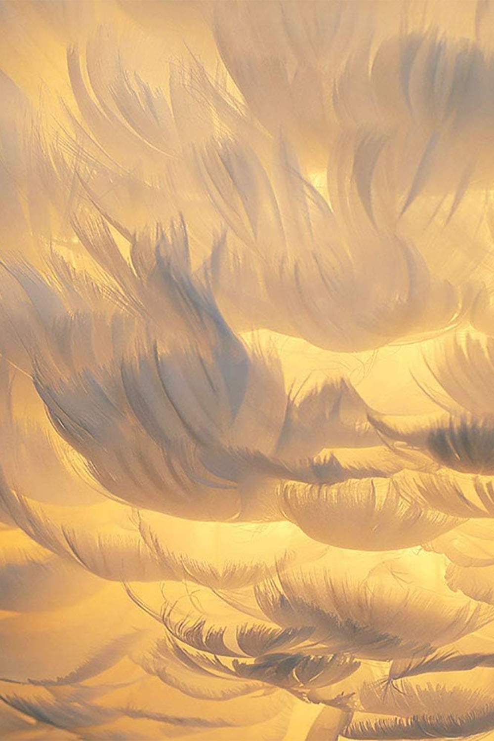 Atolye Store-Pluma Sarkıt Large-Avize-4-Milagron.com