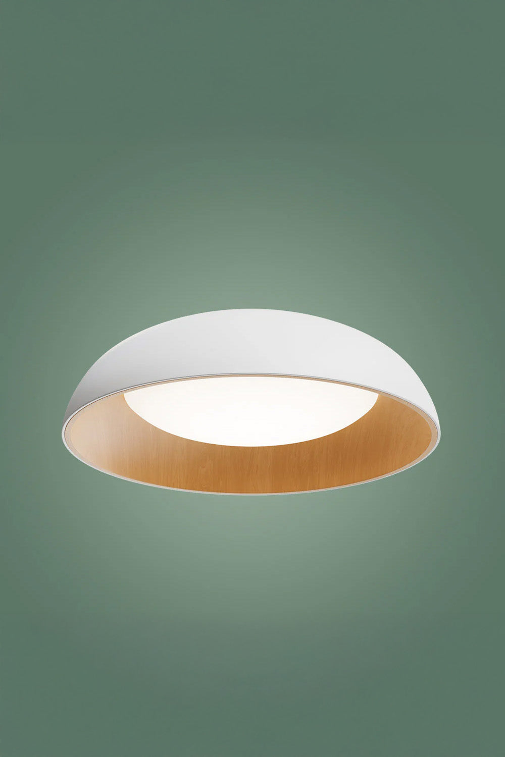 Atolye Store-Roof Plafonyer Ova-Avize-2-Milagron.com