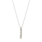 Atolyewolf Necklace In Silver