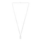 Plate Necklace In Silver