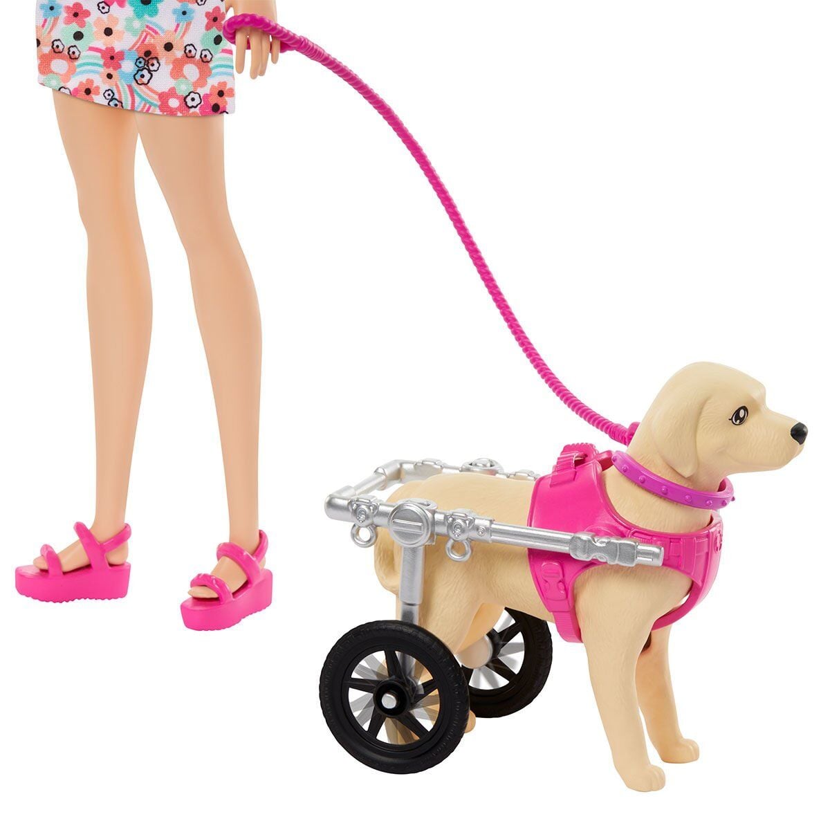 Htk37 Barbie Ve Engelli Köpeği Oyun Seti