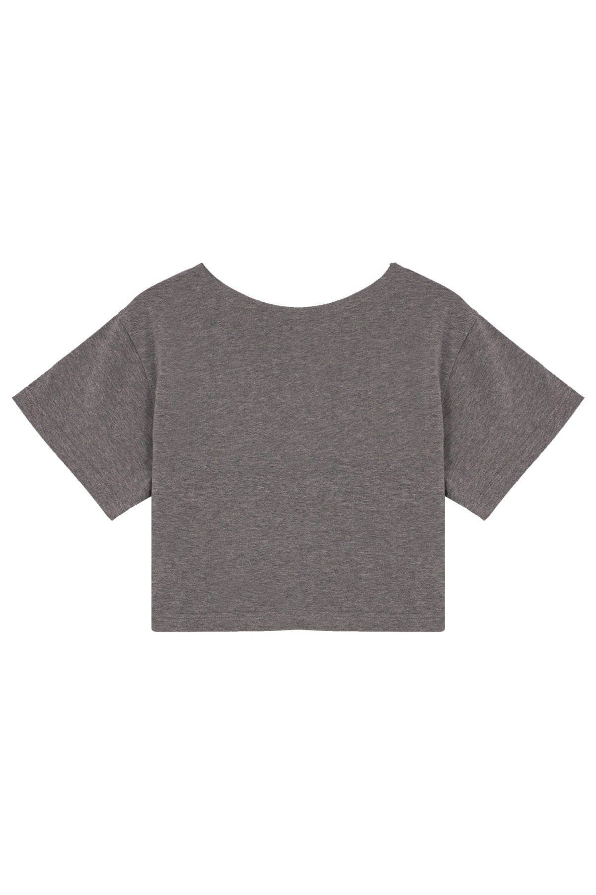 Crop T-Shirt - Gri