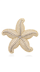 Bayemeyc-Deni̇z Yıldızı Broş-Broş-1-Milagron.com