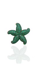 Bayemeyc-Phela Deni̇z Yıldızı Broş-Broş-1-Milagron.com