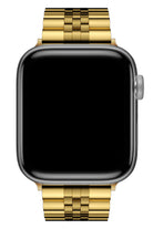 Apple Watch Uyumlu Olexi Çelik Loop Kordon Pirit