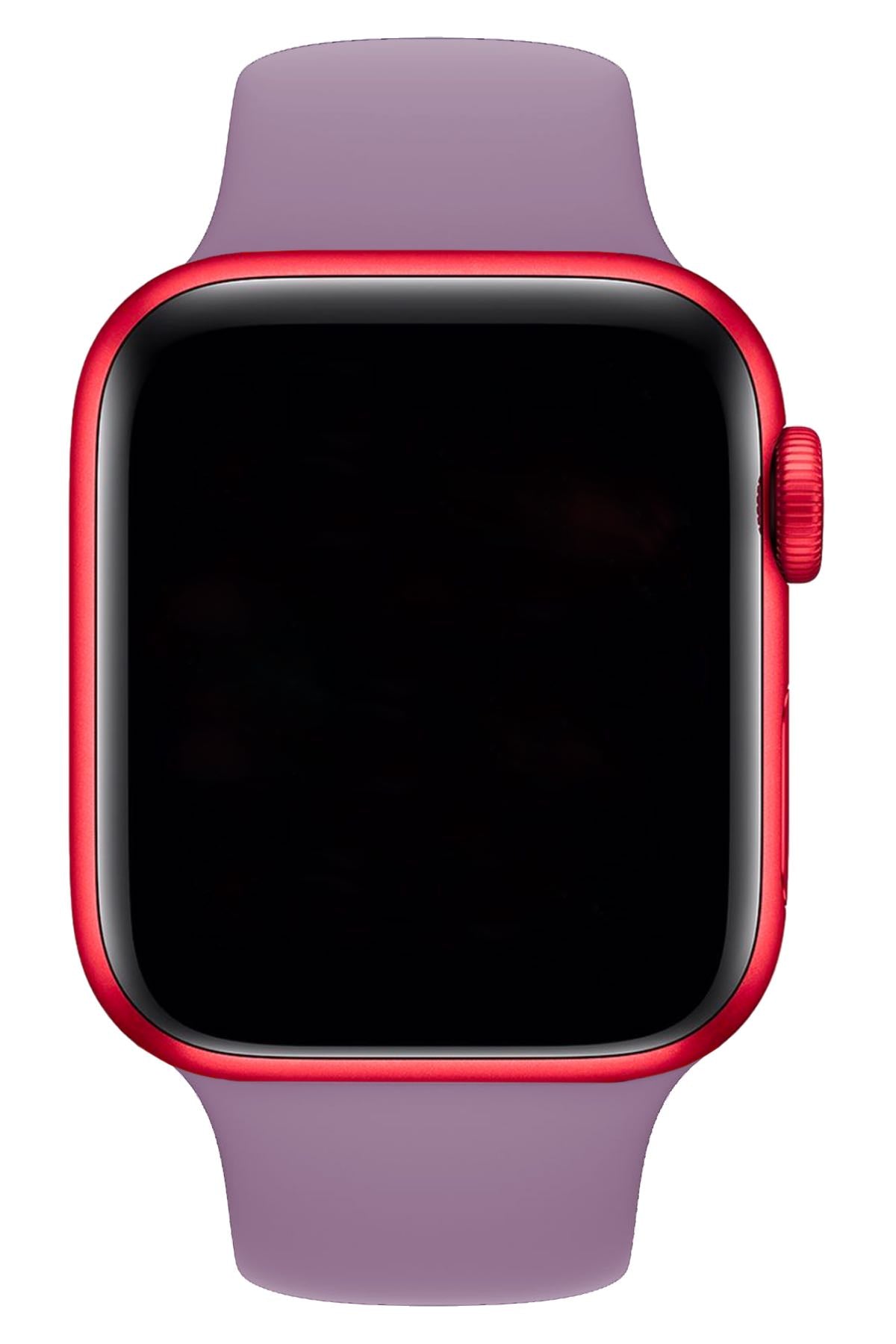Apple Watch Uyumlu Silikon Spor Kordon Lavanta