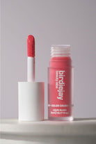 COLOR CRUSH LİKİT ALLIK - 101 ROSE PETAL