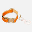 Bloominbag-Bloom Paw Copper Hakiki Deri Pet Tasma-4-Milagron.com