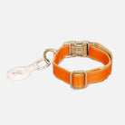 Bloominbag-Bloom Paw Copper Hakiki Deri Pet Tasma-5-Milagron.com