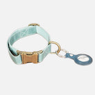 Bloominbag-Bloom Paw Lime Mist Hakiki Deri Pet Tasma-1-Milagron.com