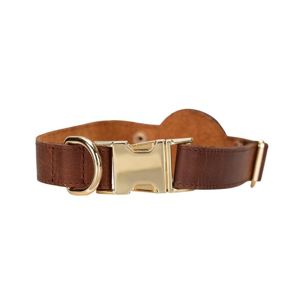 Bloompaw Saddle Brown Airtag Yuvalı Hakiki Deri Pet Tasma